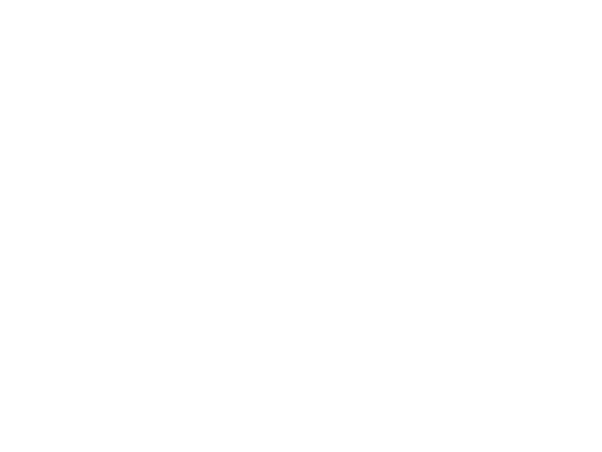 Amoneo logo